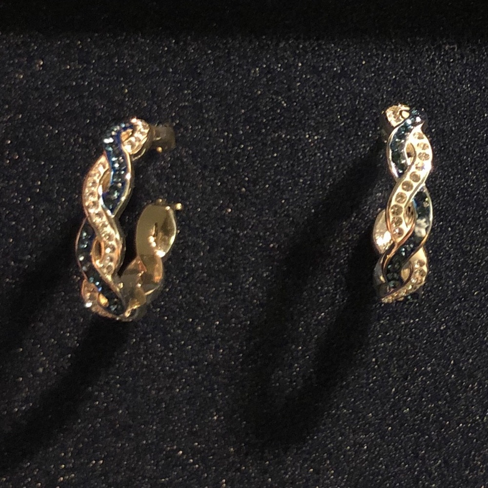Elegant earrings